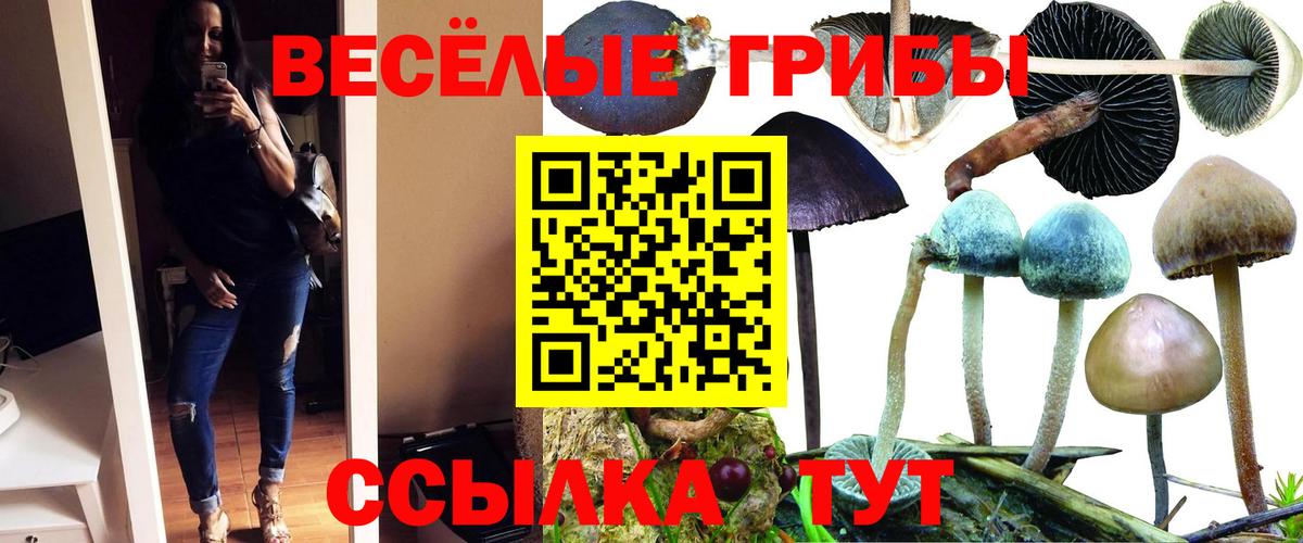 Галлюциногенные грибы мицелий  Галлюциногенные грибы MAGIC MUSHROOMS  Курчатов  Вход с VPN 