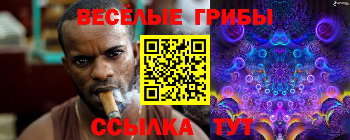 Галлюциногенные грибы Magic Shrooms Курчатов
